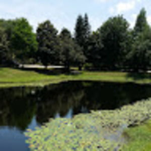 Meet your Posher, Mary-elizabeth